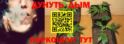 сатива Гусь-Хрустальный